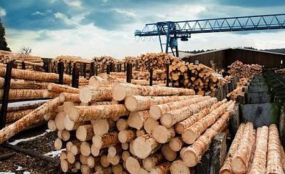 Экспорт фанеры из Чили снизился на 6% в июле